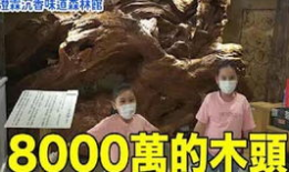 沉香如屑吃瓜大爆料,揭秘幕后大瓜，明星恋情、幕后黑手全曝光！